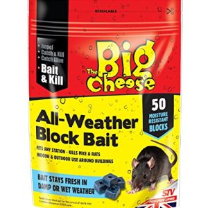 The Big Cheese 50 All-Weather Block Bait