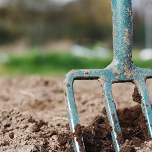 Forks & Rakes & Hoes