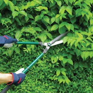 Garden Hand Tools Other