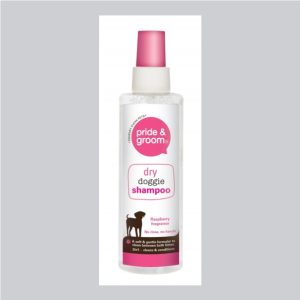 200ml Dry Shampoo Spray Pride & Groom