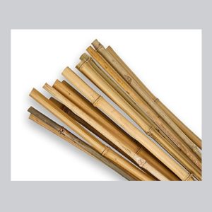 SupaGarden Bamboo Canes 5' 10pc