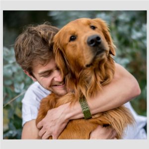 Dog Care