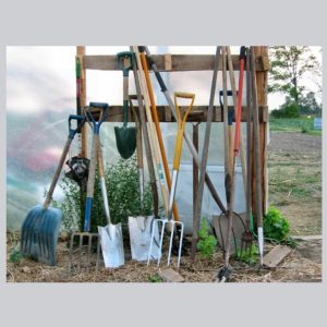 Farm Other