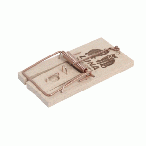 Luna Mouse Trap
