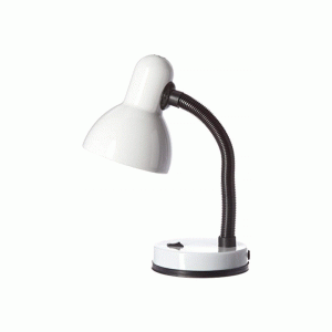 Metal Desk Lamp with Flexible Hose Neck Kingavon