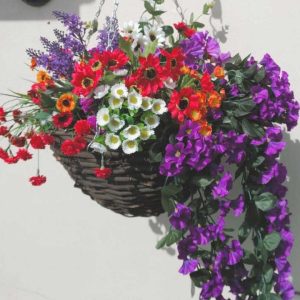 Wicker Hanging Basket Filled