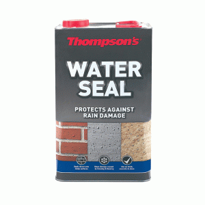 Thompson's Water Seal 5L