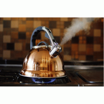 3.5Lt Whistling Kettle - Metallic Gold-Copper