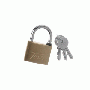 Tessi Solid Brass Padlock