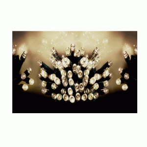 Premier Multi Action Battery Operated TIMELIGHTS™ - Warm White