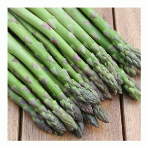 2pc Asparagus Gijnlim De Ree