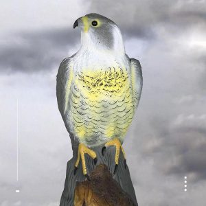Falcon Bird Deterrent BD102