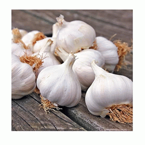 3pc Garlic White Casablanca De Ree