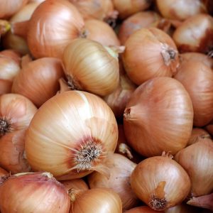 Onion, Asparagus & Rhubard Collection