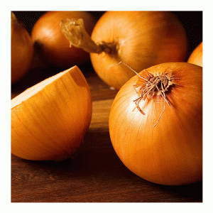 50pc Stuttgarter Onions De Ree