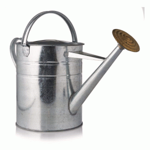 Ambassador Galvanised Watering Can 2 Gallon