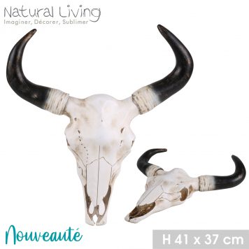 Cow Skull - Natural Living