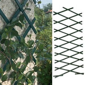Expanding Green Plastic Trellis
