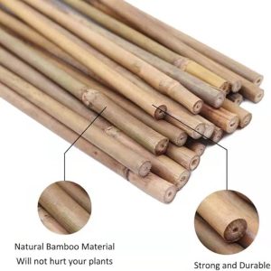 10pc Bamboo Plant Support