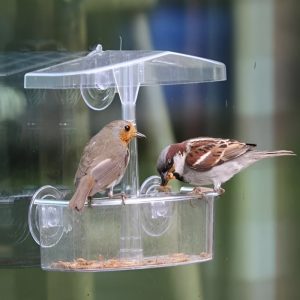 Large Perspex Window Bird Feeder BF107