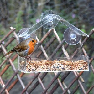 Perspex Window Bird Feeder BF111