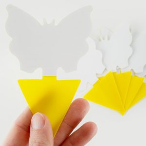 10pc Sticky Fly Traps IK160