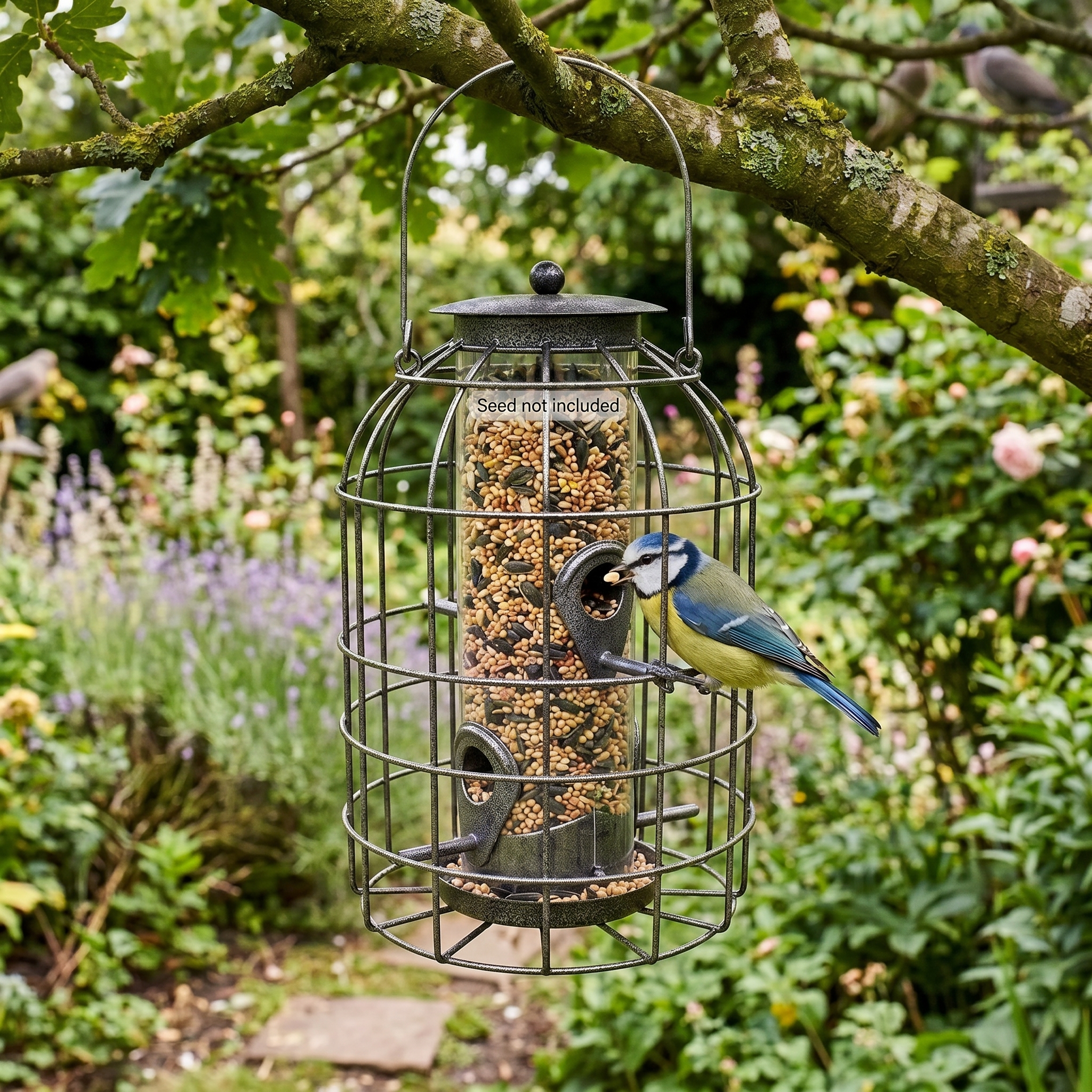 Squirrel proof seed feeder