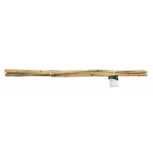 10pc 150cm Bamboo Plant Support PS213